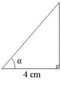 Imagem 008.jpg