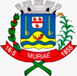 SECRETARIA MUNICIPAL DE SAÚDE DE MURIAÉ - SMS MURIAÉ