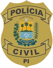 PC PI - Polícia Civil do Piauí