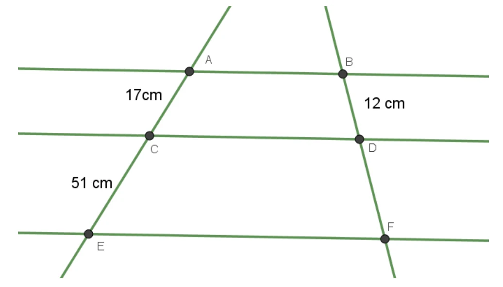 Captura_de Tela 2025-02-20 às 16.46.24.png (1036×592)
