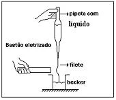 imagem-003.jpg
