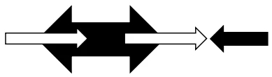 9_c.png (389×111)