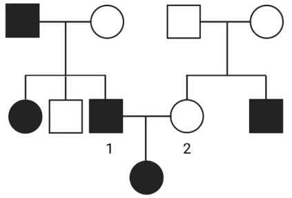 Captura_de tela 2025-02-04 100842.png (423×287)