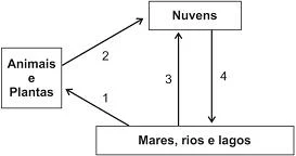 imagem-016.jpg
