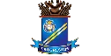 NÍVEL SUPERIOR logo