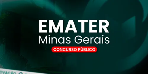 ANALISTA DE SISTEMAS I