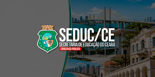 PROFESSOR DE ARTE-EDUCAÇÃO