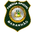 PERÍCIA OFICIAL DO MARANHÃO